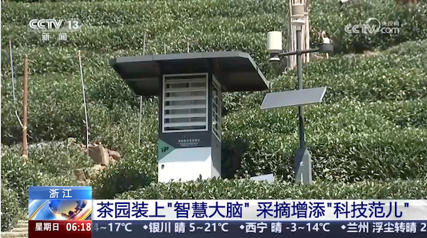 央視、人民網(wǎng)等權(quán)威媒體聚焦西湖龍井：托普云農(nóng)“黑科技”點(diǎn)亮千年茶香智變之路
