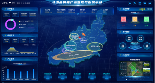 AI+農(nóng)業(yè) | 當(dāng)種子植入“數(shù)智芯片”，馬山縣打造制種基地新標(biāo)桿